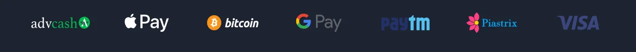 MethSpin payment methods
